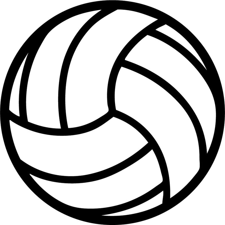 volleyball magnet in white and black